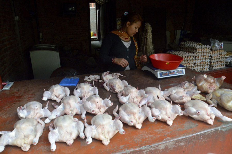 Chicken price cools down amid low demand, oversupply