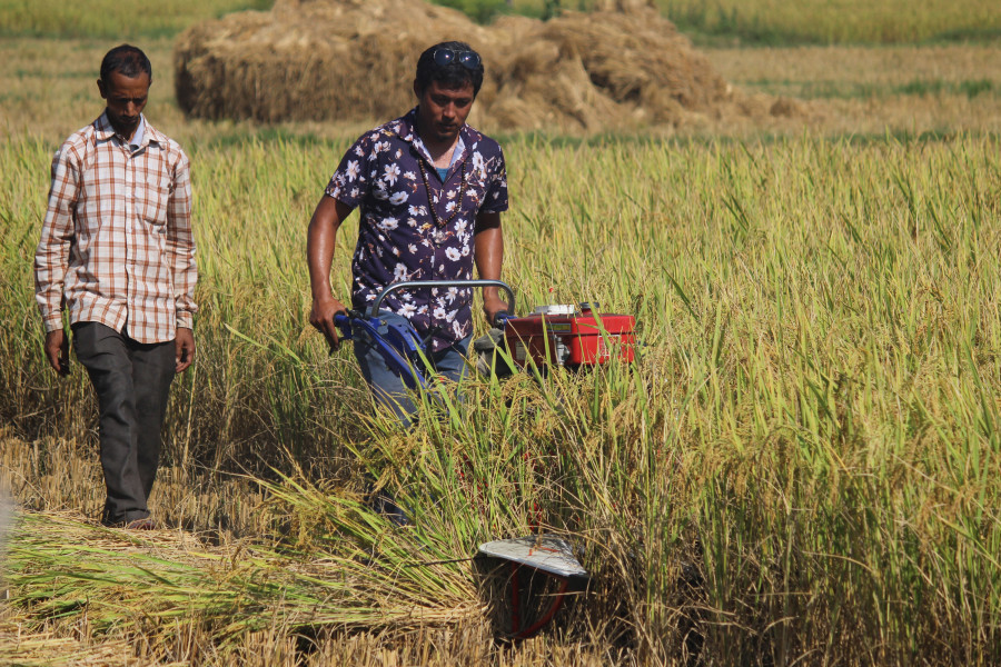 Government hopes to create nearly 150,000 jobs in agriculture sector