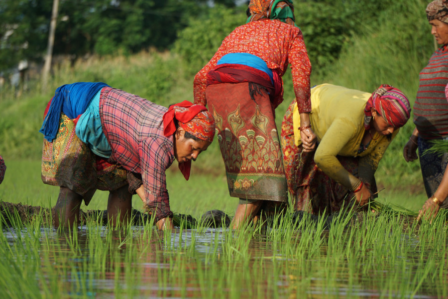 Women’s Contributions To Development