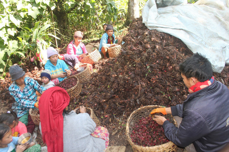 Agricultural products lead export growth in first half