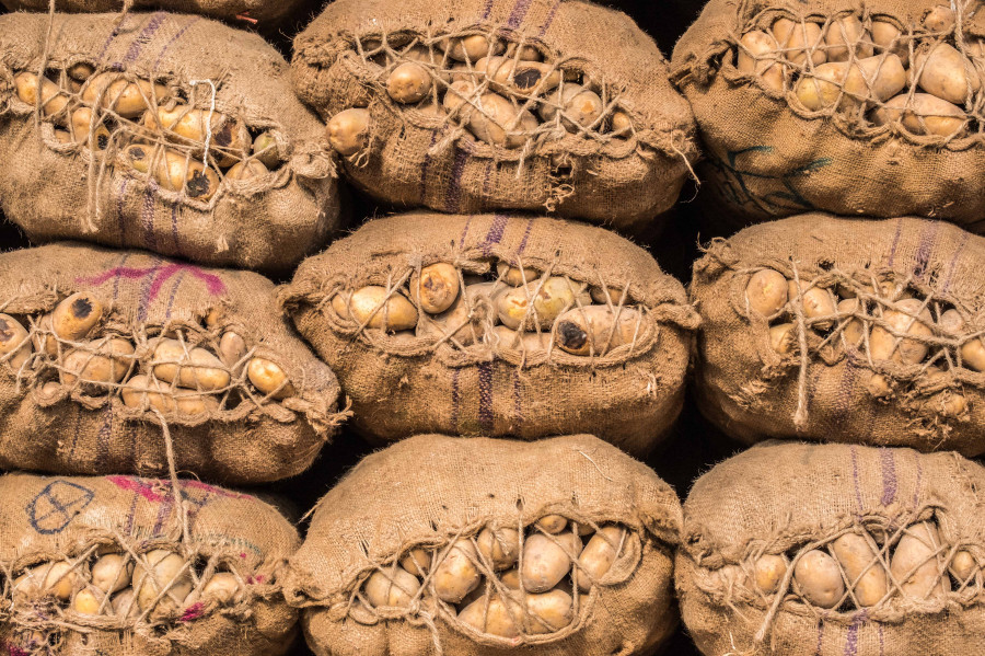 Imported potatoes appear in highlands as winter drought decreases yields