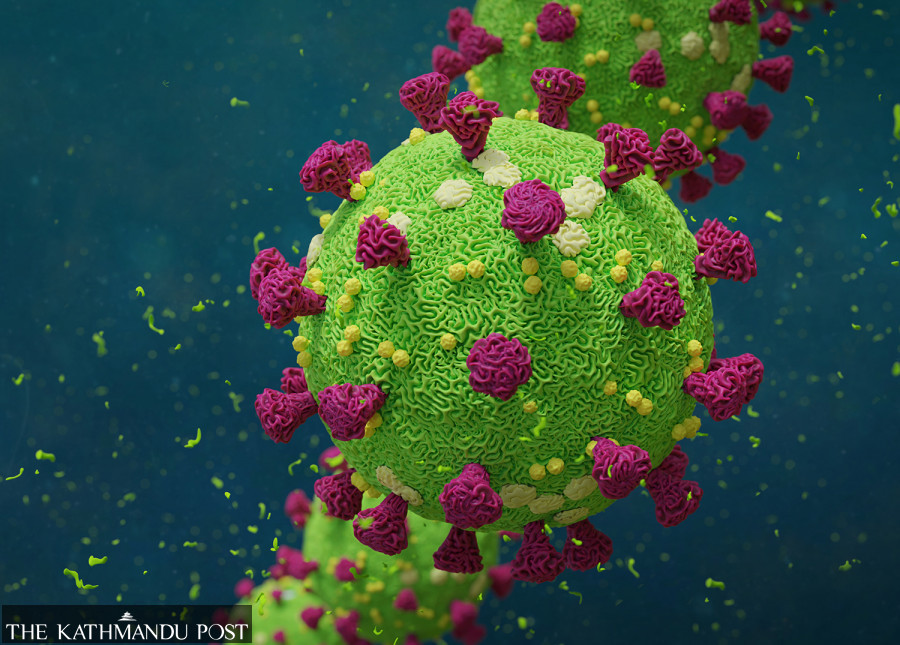 With 1, 424 new cases, Nepal’s Covid-19 tally reaches 745,731