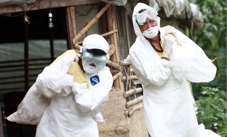 Poultry market takes hit after bird flu is detected in Kathmandu Valley