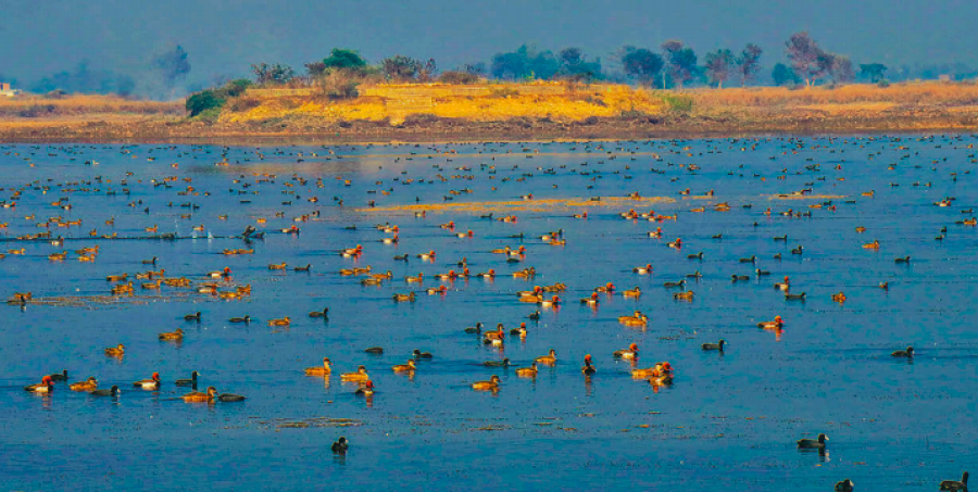 Wetlands support life, livelihood and biodiversity, but they remain ignored