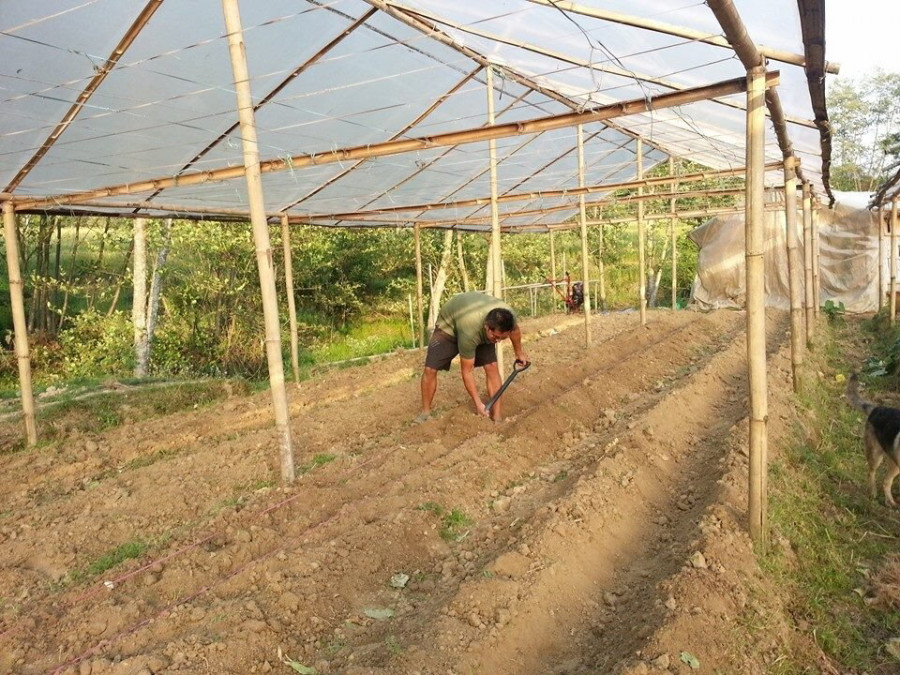 ‘All governments lie’, Nepali startups and innovators say