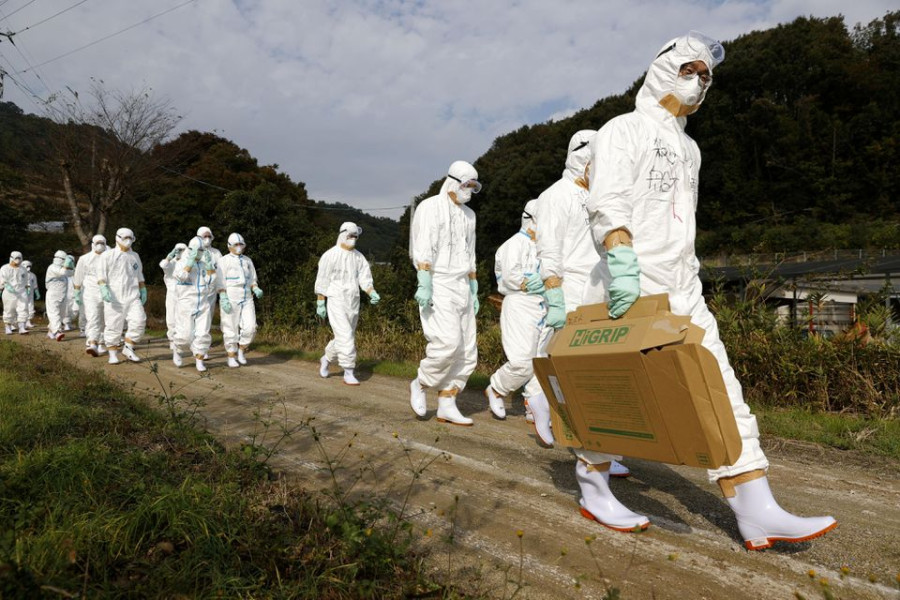 Bird flu spreads in Europe and Asia