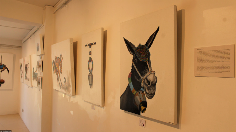 At Windhorse Gallery, it’s not horses but mules and donkeys who steal the show