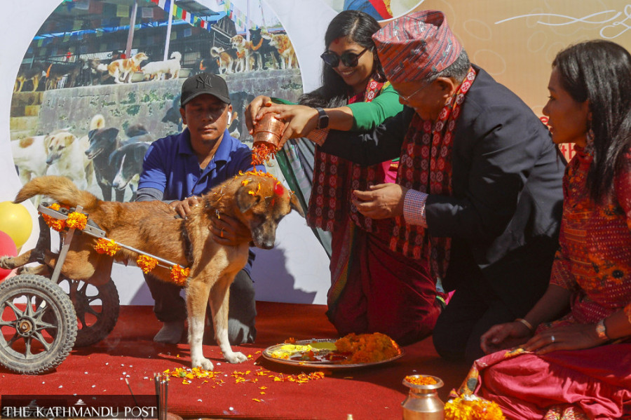 People celebrate Kukur Tihar