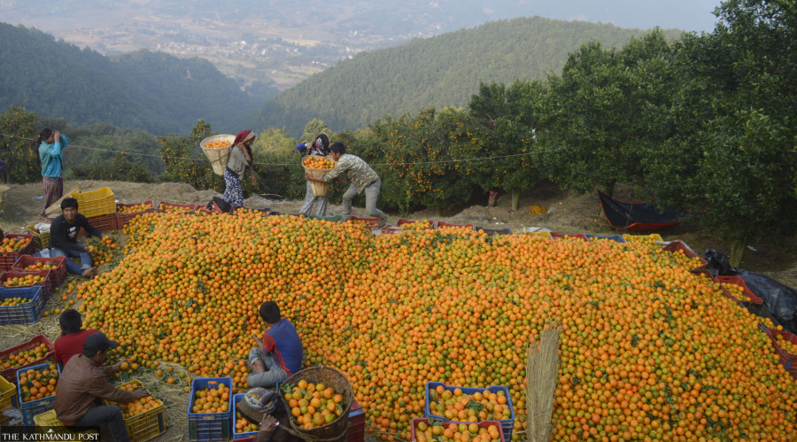 Farmer incomes soar after construction of cold stores