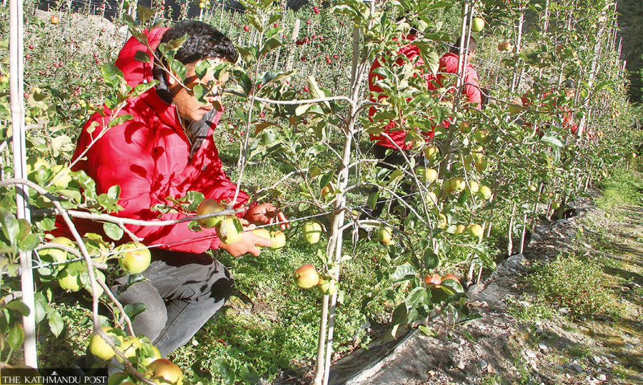 Israel seeks 1,000 Nepali workers to fill its farming job slots