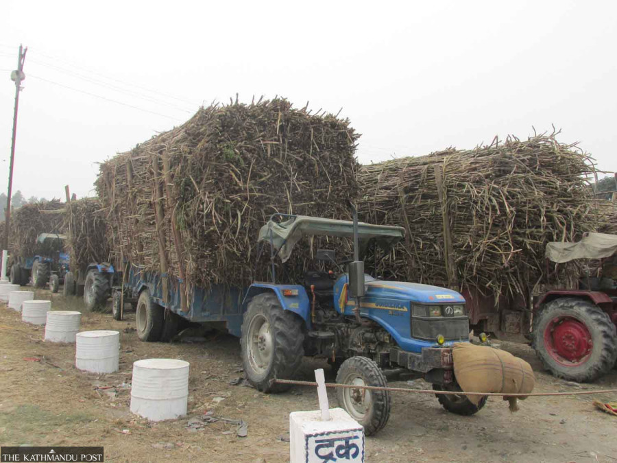 Sugarcane farmers demand Rs705 per quintal minimum for this season’s harvest