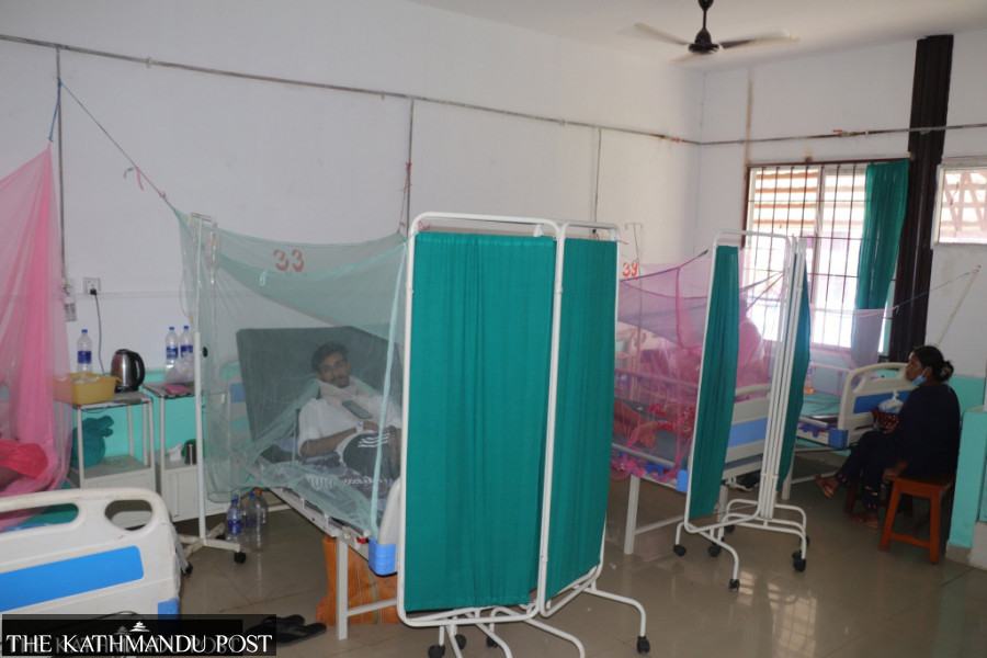 Three dengue virus strains circulated during this year’s outbreak: EDCD