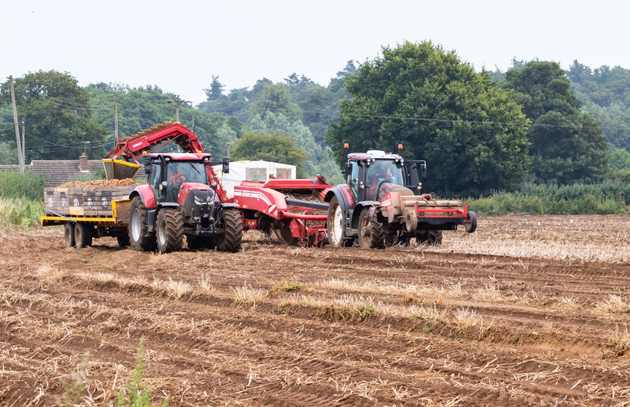 How the global fertiliser shortage is going to affect food