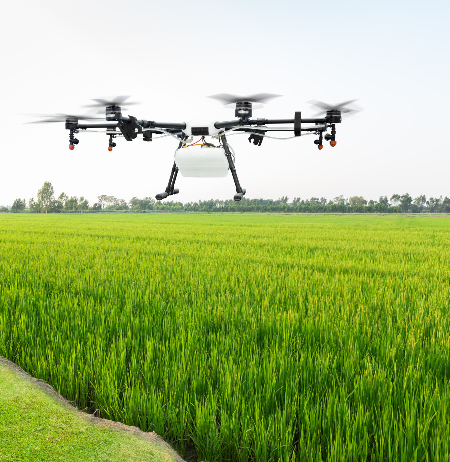 Using artificial intelligence in agriculture