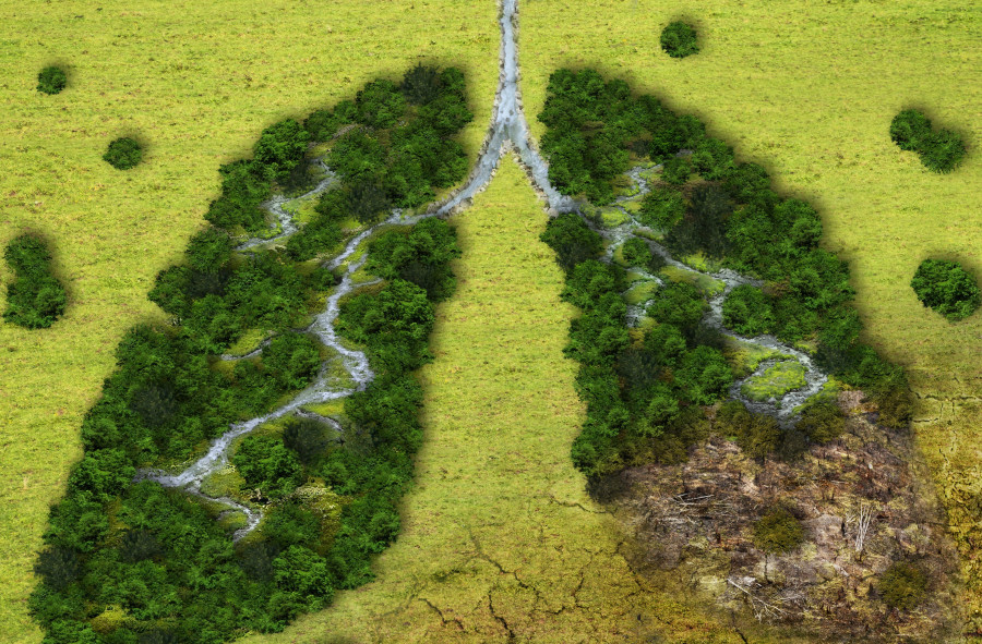 Climate-driven medical risk