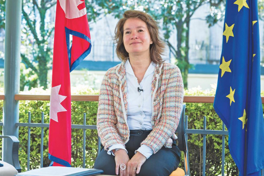 EU says it will monitor upcoming elections