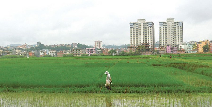 How remittance is fuelling agricultural risks and unplanned sprawl