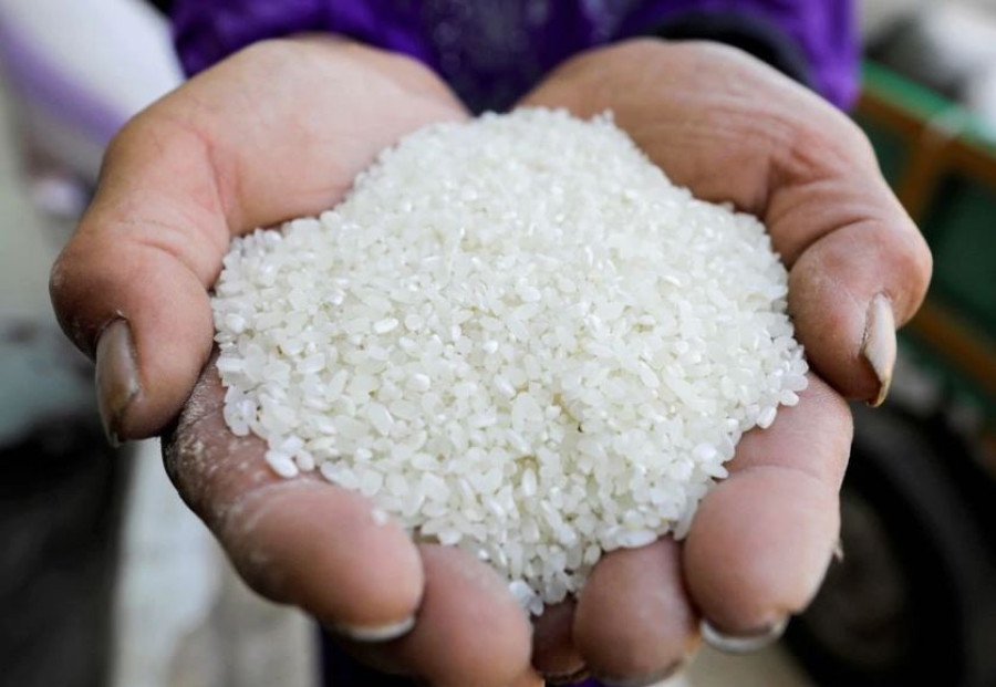 Strong Asian rice demand for animal feed sparks food supply worries