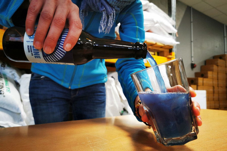 Sacrebleu: French brewers use algae to make blue beer
