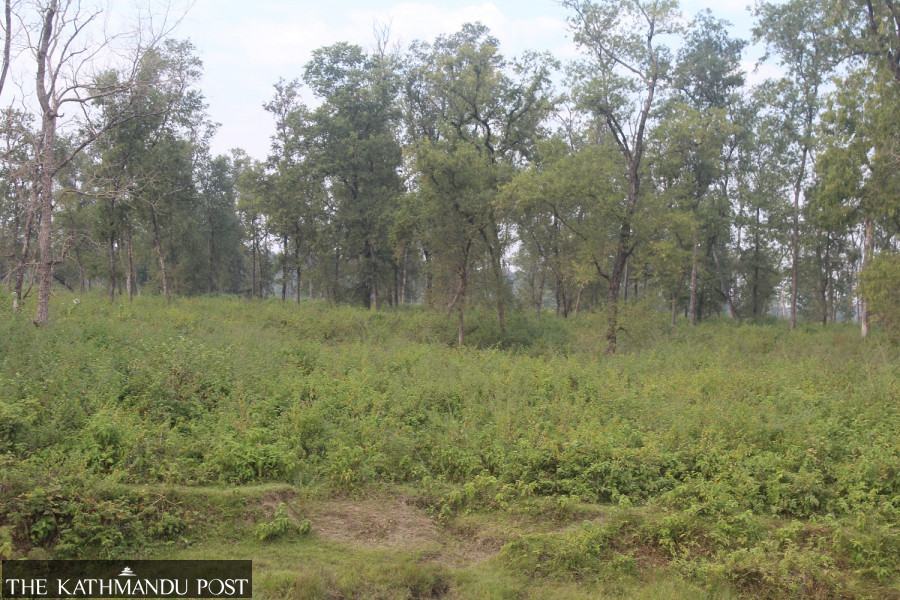 Dodhara Chandani dry port gets environmental approval