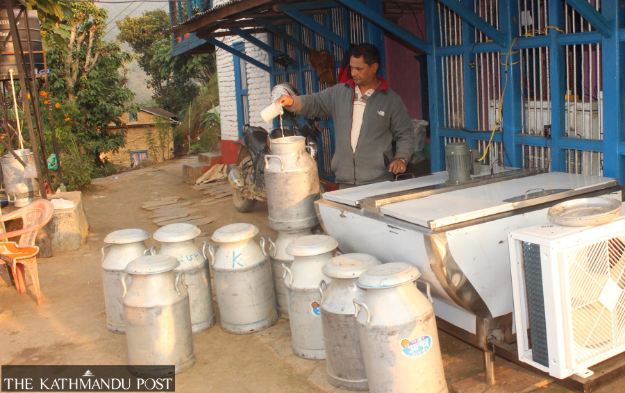 Contraband trade causing milk glut in local markets