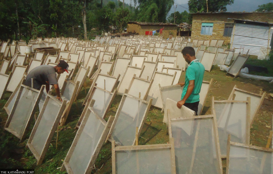 Nepali handmade paper factories in Gandaki face existential crisis