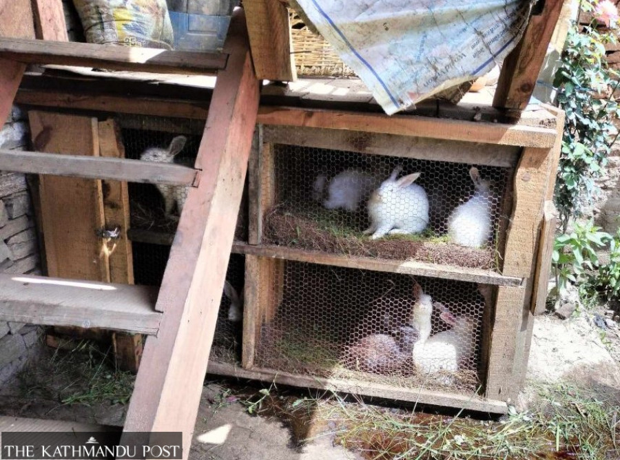 Made in Jumla rabbit fur caps selling fast