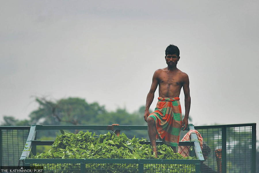 Tea estate workers begin protest for increment in wages