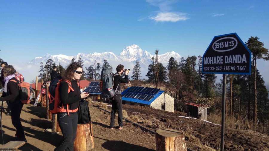 Entrepreneurs say tourism’s recovery may get hampered by the mandatory guide rule