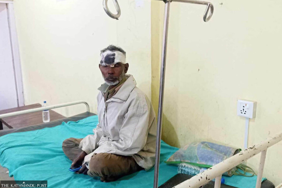 Eight injured in leopard attack