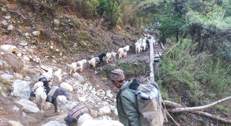 Rice-short residents of Saipal demand a food depot