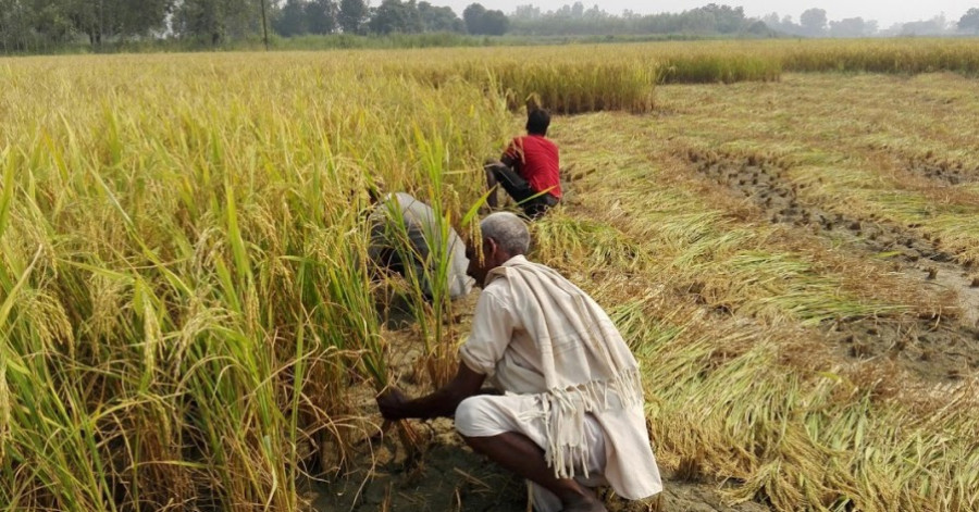 Food and water security concerns