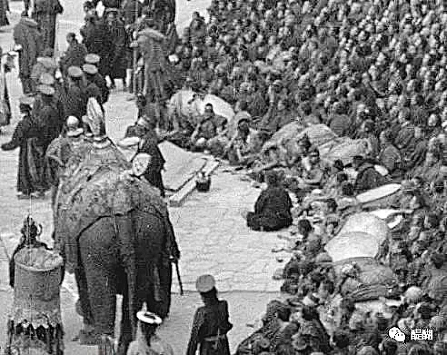 When elephants from Nepal went to China