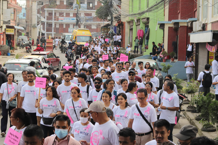 A walk for breast cancer support and awareness