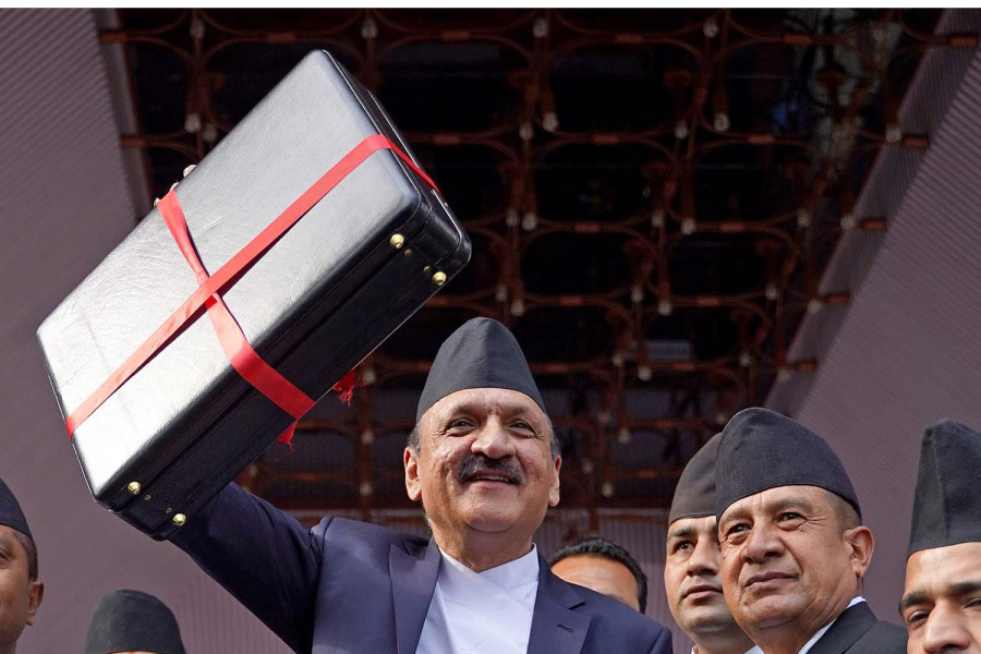 How do private sector, public react to the budget