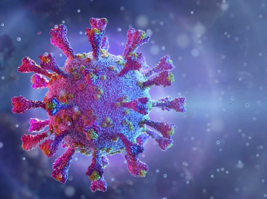 Nepal records 106 Covid-19 cases in last 24 hours