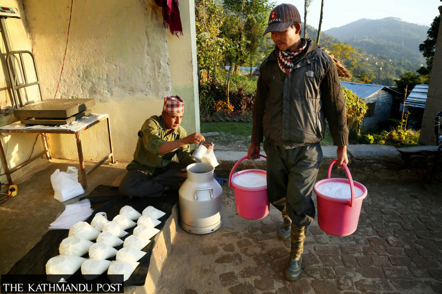 Dairy farmers’ dues boil up to Rs6.5 billion