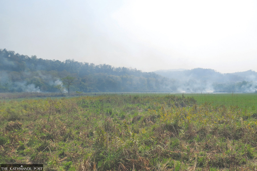 Devi Lake, the largest in Chitwan National Park, is on the verge of drying up