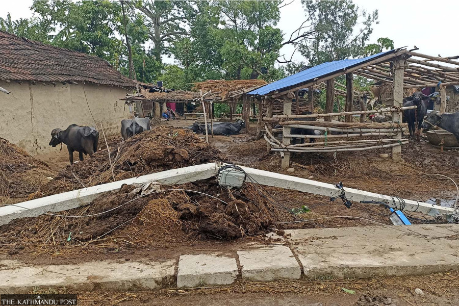 Storm damages hundreds of houses in Bardiya