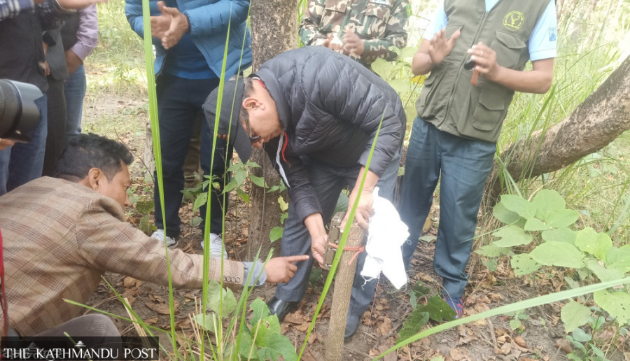 Five monitoring cameras stolen in Shuklaphanta