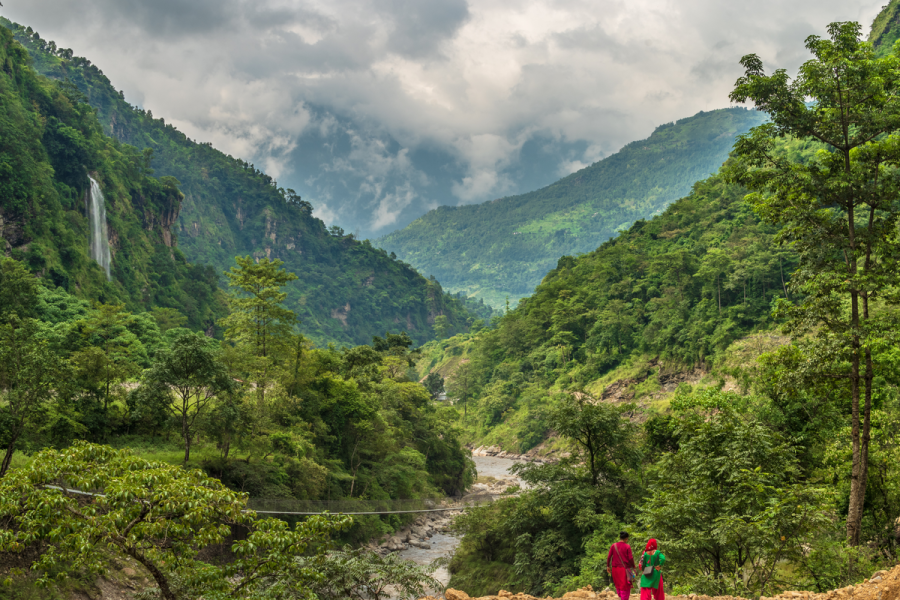 Turning Nepal's forests into fortune