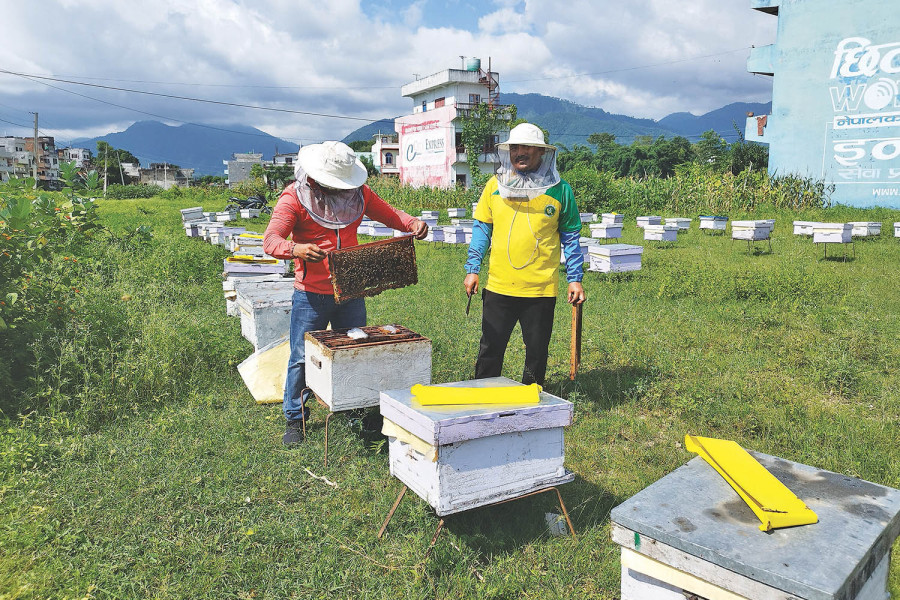 Export of Nepal’s high value goods drops in Q1 on India’s restrictions