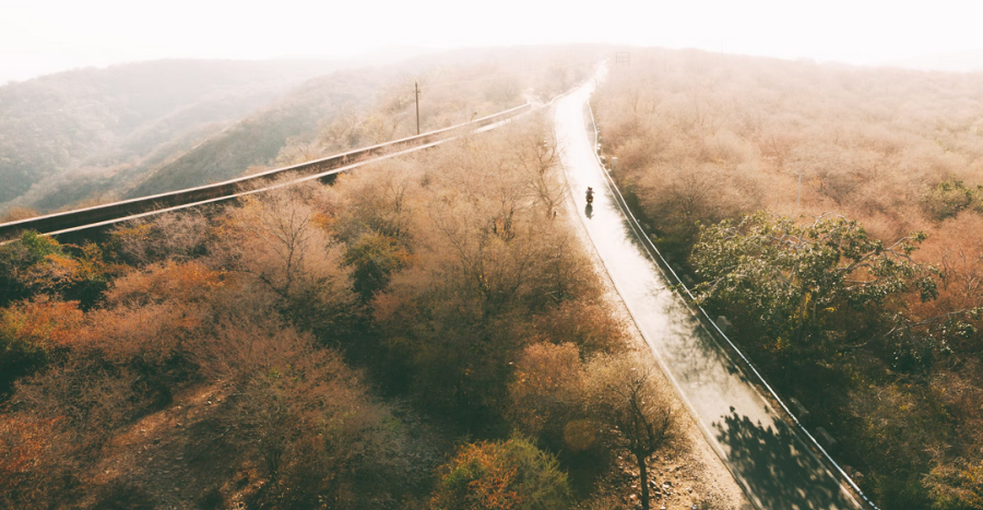 A Tale of Survival in the Wilderness