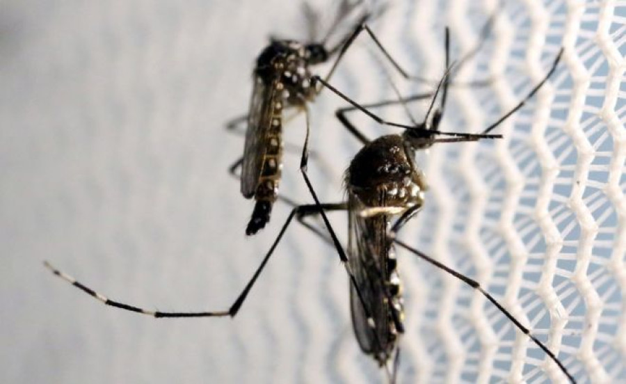 Outbreak of Zika virus in India raises concern in Nepal