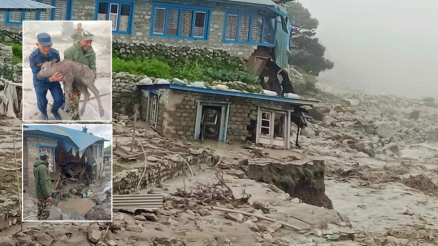 Flood in Solukhumbu destroys 12 houses