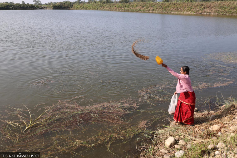 Success stories from the field—and the farm