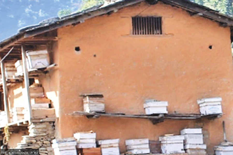 Beekeeping a source of income in quake-hit Jajarkot