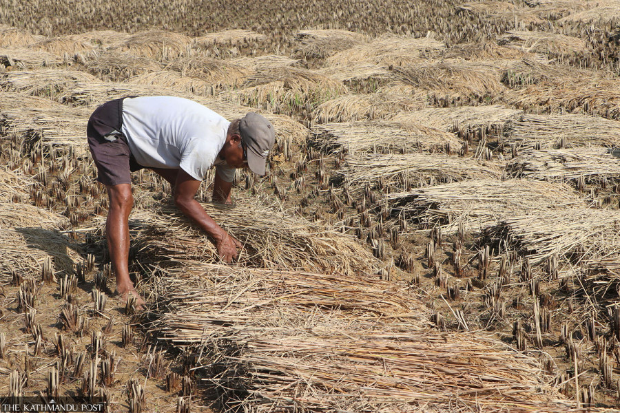 Monetary policy stays ‘cautious and flexible’