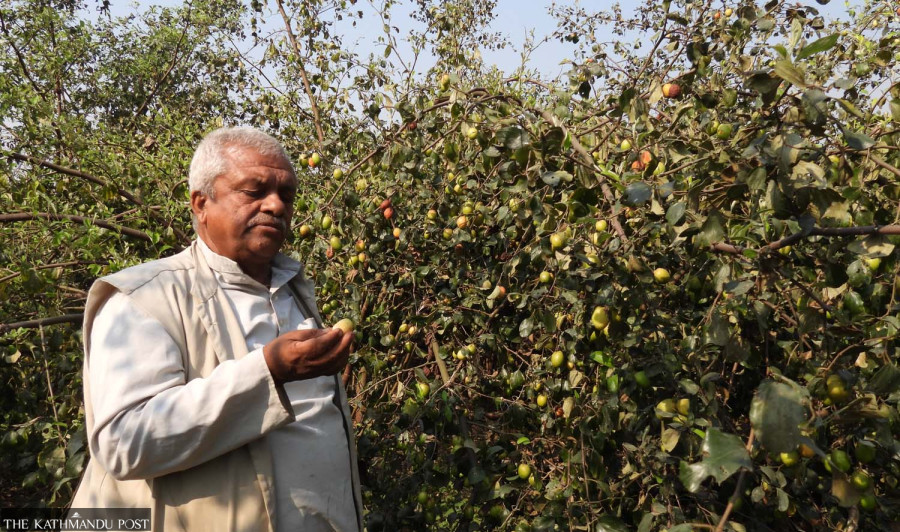 How Covid inspired a Chitwan farmer’s new venture