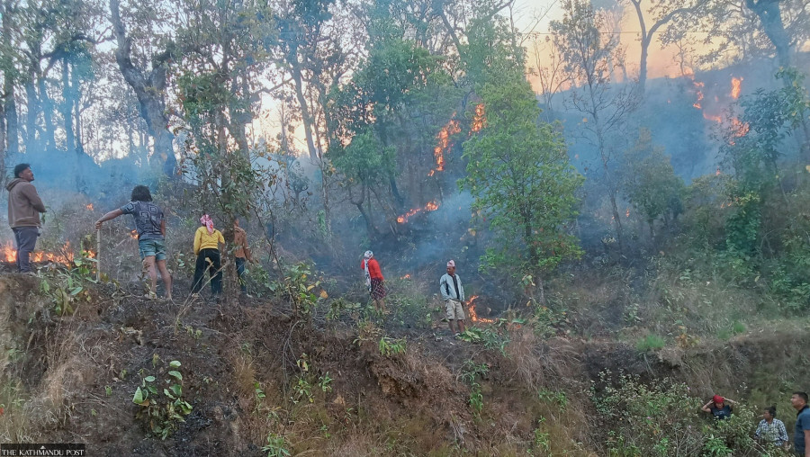 Five days of wildfires rage in Palpa’s forests, one death reported